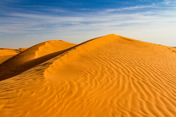 Background .The Sahara desert.  Sand dunes of Grand Erg Oriental near the oasis of Ksar Ghilane,...