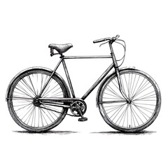 Fototapeta premium Vintage bicycle illustration, side view, sketch style