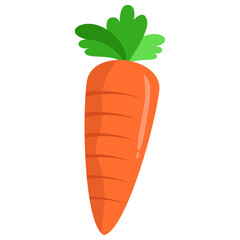 Illustration of a Fresh Carrot