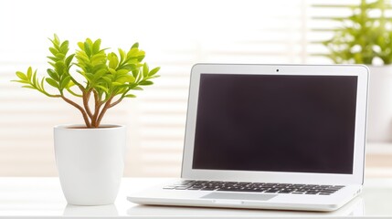 Fototapeta premium Minimalist Workspace: A sleek laptop rests on a minimalist desk beside a potted plant, a perfect setup for productivity and creative inspiration.