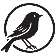 Silhouette of a bird on white background