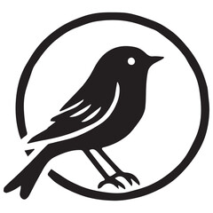 Silhouette of a bird on white background