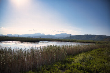 Fototapeta premium landscape of the Albufera of Mallorca