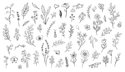 large Set of doodle plants and insects. Hand drawn illustration in monochrome black and white colors. Floral vector collection with flowers and branches on isolated background Outline floral element