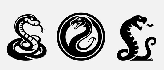 Obraz premium snake, animal, illustration, reptile, vector, dragon, tattoo, symbol, cobra, serpent, design, cute, art, sign, wild, black, drawing, wildlife, year, isolated, nature, icon, logo, silhouette, cartoon, 