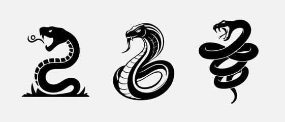 Fototapeta premium snake, animal, illustration, reptile, vector, dragon, tattoo, symbol, cobra, serpent, design, cute, art, sign, wild, black, drawing, wildlife, year, isolated, nature, icon, logo, silhouette, cartoon, 