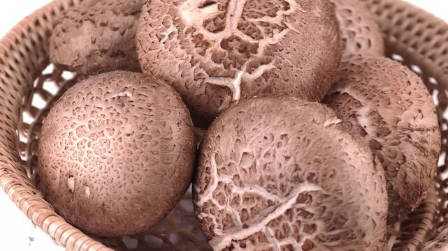 Shiitake mushrooms on white background