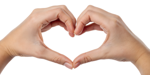 Hands holding shape with on white background