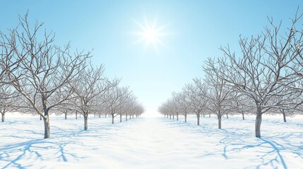 Obraz premium Winter Wonderland: Sunlit Scenic Orchard with Delicate Snow Cover Cinematic Image
