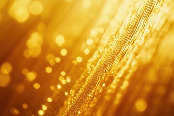 Close-up of a shower head with water droplets, suitable for use in bathroom or wellness related content