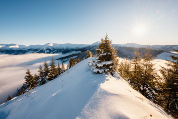 Fototapeta premium Winter hiking to Sina in Low Tatras National park near jasna is full of beautiful views. Sunset in Slovakia mountains with Chopok peak.