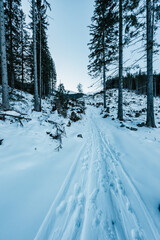 Obraz premium Winter hiking to Chopok in Low Tatras National park is full of beautiful views. Slovakia mountains landscape.