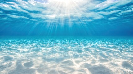 Obraz premium Pristine Underwater Environment with Natural Light