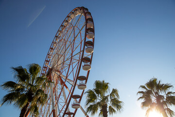 Fototapeta premium This image captures a majestic ferris wheel, in batumi, georgia intertwined with lush tropical palm leaves under a sky, symbolizing a blend of nature and amusement