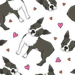 Boston terrier dog and hearts vector seamless pattern.
