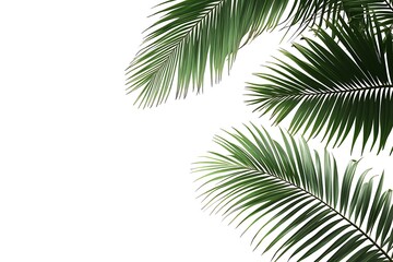 Naklejka premium 4 vector images of green palm leaves on a white background