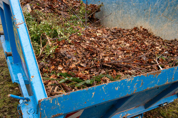 Container with leaves and green waste in autumn