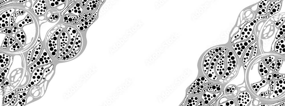 Poster monochrome abstract background frame. vector texture of chaotic waves, particles, circles. group of 