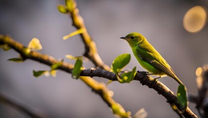 A small sparrow perched on a slender branch