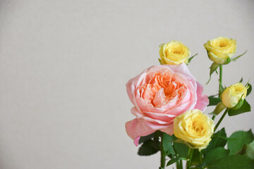 ピンクと黄色のばら