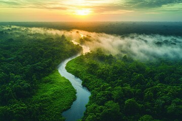A serene river flowing through dense foliage of a lush green forest