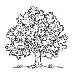 Sketch, oak tree, nature, line art, illustration, background, white, simple, design, children's book