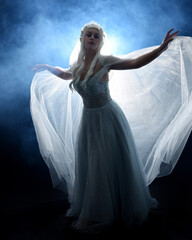 full length portrait beautiful blonde fantasy maiden faery wearing medieval fairytale ballgown...