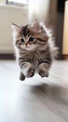 Adorable fluffy kitten joyfully leaps across a bright indoor floor, showcasing its playful energy and youthful exuberance.