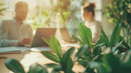 Digital Workspace with Natural Light and Greenery
