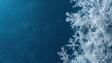 Against a tranquil blue backdrop, intricate white snowflakes drift down the right edge, leaving ample room for text or designs on the opposite side.