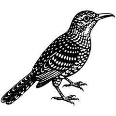 vector illustration of a bird