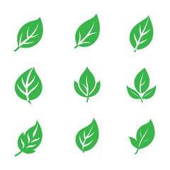 Set of green leaf icons. Green leaf icon logo. Leaves on white background. Ecology. Vector illustration.