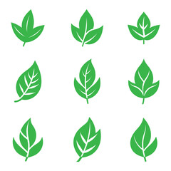 Set of green leaf icons. Green leaf icon logo. Leaves on white background. Ecology. Vector illustration.