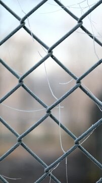 Chain-Link Fence Covered In Morning Frost Symbolizes The Concept Of Land Parcel Protection, Vertical Video