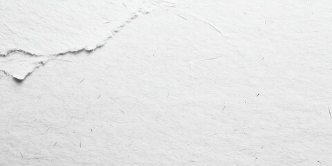 A textured white background featuring subtle imperfections and a torn edge, conveying a minimalist aesthetic.