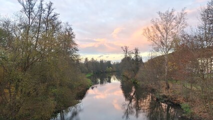 Bushes, alder, birch and other trees stand on the grassy banks of the river with fallen leaves....