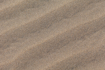 Close-up of a Golden Brown Sand Texture, light kisses fine grains of sand, creating a rich tapestry of browns and golds. Tiny ridges and valleys form intricate patterns, inviting touch