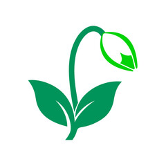 green leaf icon