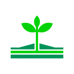 green tree with leaves