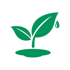 green plant in the form of a heart