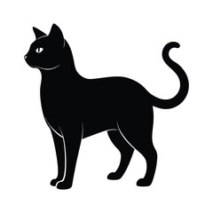 cat silhouette on white background