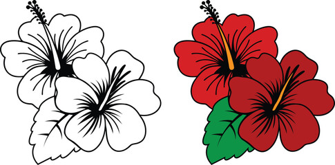 Tropical Hibiscus Flower Illustration Outline And Full Color.