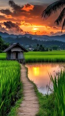 Fototapeta premium A serene sunset over a tranquil rice field, featuring a wooden hut beside a reflective pond and lush green surroundings.