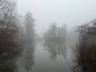 misty morning in the forest. Fog on the lake