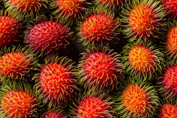 A close-up of a cluster of rambutans