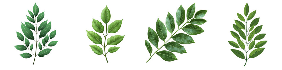 Detailed Illustration of Green Leaf Designs in Vector Style for Cut and Die Crafting Projects