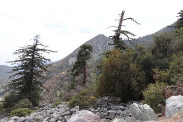 mountain in the mountains