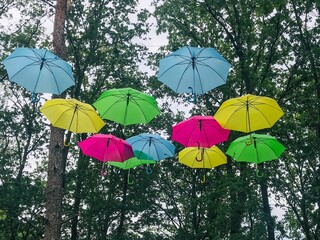 Colorful Umbrellas Dancing Among Branches