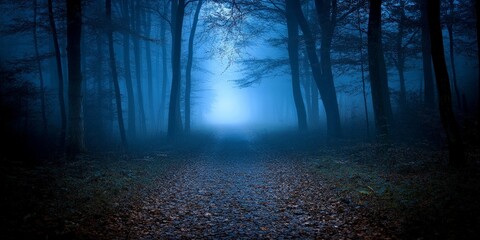 Obraz premium Mysterious Pathway Through a Forest at Night
