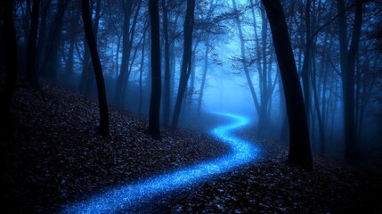 Obraz premium Mysterious Pathway Through a Forest at Night